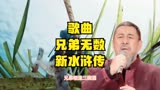 《新水浒传》电视剧经典流行插曲《兄弟无数》