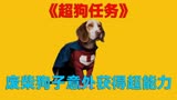 《超狗任务》第二段，废柴狗子成为超狗英雄