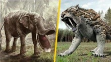 嘴巴像铲子的大象，牙齿28厘米长的剑齿虎，幸好它们已经灭绝了