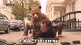 呆萌小熊走进人类城市生活，爆笑日常《帕丁顿熊》