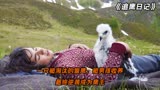 一只被淘汰的雏鹰，被男孩收养、最终逆袭成为鹰王《追鹰日记》