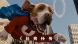 《超狗任务》一条狗意外获得超能力，从此变为英雄