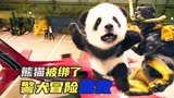 熊猫被偷到国外，一只鸡贼的警犬冒险营救，喜剧电影《汪星卧底》