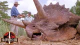 侏罗纪公园：人类用DNA克隆出恐龙，不料失去控制，自己成了猎物