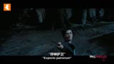 《哈利波特》十大剧情反转！斯内普教授！Always！