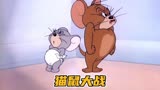 猫和老鼠：泰菲侄子的苦肉计