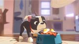 动画短片《美味盛宴》流浪狗遇上单身汉，为报恩帮他追到了女朋友
