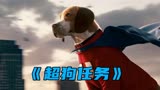 狗狗获得超能力，可以在天上自由飞翔，奇幻片《超狗任务》