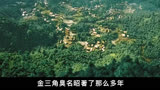 刘青云郭富城古天乐再度联手上演兄弟情＃电影扫毒3