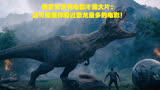 侏罗纪系列电影才是大片：这可能是你看过恐龙最多的电影！