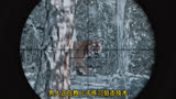 冰雪狙击：路滑雪厚，猎人一把狙击枪复仇