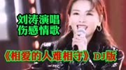 金典伤感情歌《相爱的人难相守》DJ版，刘涛配音演唱。