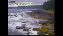 葫芦丝曲灞柳情-封波演奏