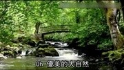 睡不着?这8小时森林影片 据传可治失眠原创完整版视频在线观看爱奇艺