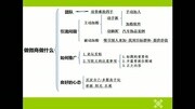 微商视频教程 快速吸粉秘诀教育完整版视频在线观看爱奇艺