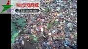 Fisher 费舍尔 金银探测仪 Gold Bug Pro黄金专家科技完整版视频在线观看爱奇艺