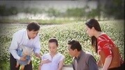 王玉锦导演作品 广告片《中国联通》广告完整版视频在线观看爱奇艺