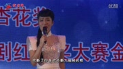 《西口情》演唱:张红丽音乐背景音乐视频音乐爱奇艺