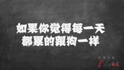 你每天累的跟狗一样原创完整版视频在线观看爱奇艺