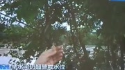 CCTV13记者现场直播举水河处于高水位警戒资讯搜索最新资讯爱奇艺