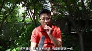 街头偶遇橘衣小胖子,给他根棒棒糖,聊些污污的事情!生活完整版视频在线观看爱奇艺