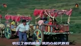 「印度电影」《大篷车》1971 「歌舞」「中文字幕」