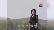 青海花儿—《柔情花儿把心牵》王秀专辑