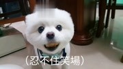 偷吃澎湖炸花技丸-美娘电影中国app的情趣内衣情趣中图片