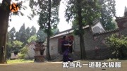 女居士演练武当八卦纯阳剑,剑法了得,养生必备娱乐高清正版视频在线观看–爱奇艺