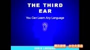 零基础学英语:龙飞虎说The Third Ear(中文版)教育完整版视频在线观看爱奇艺