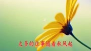 一首新的网络情歌《想要忘记不容易》真的很感人,很让人叹息!音乐完整版视频在线观看爱奇艺