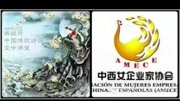 中国传统诗词 空中课堂 (十) 第一部分教育完整版视频在线观看爱奇艺