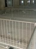 猪八戒养殖设备猪圈围栏 育肥圈安装视频