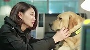 警花与警犬第34集