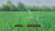 《姑娘跟我走》DJ舞曲版 声色醉人音乐背景音乐视频音乐爱奇艺