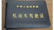 假驾驶证你见过吗?看到这个驾驶证,连交警都忍不住笑出了声汽车完整版视频在线观看爱奇艺