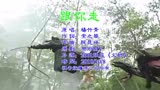 杨竹青《跟你走》张庭《火帅》片尾曲，女儿心是杯又甜又烈的浓酒