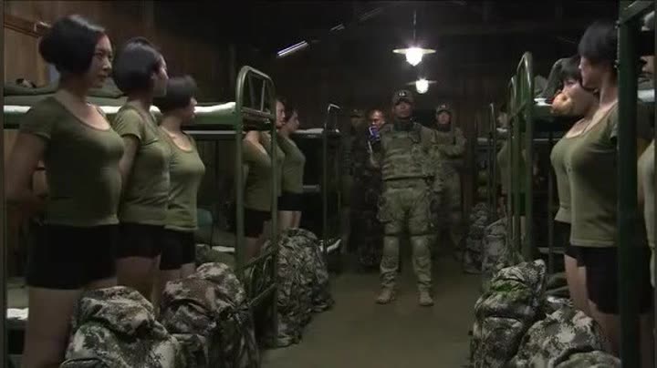                  特种兵之火凤凰