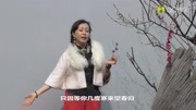 胡梅演唱一首好听的歌曲《梅花泪》超级好听,百听不厌,值得收藏音乐背景音乐视频音乐爱奇艺