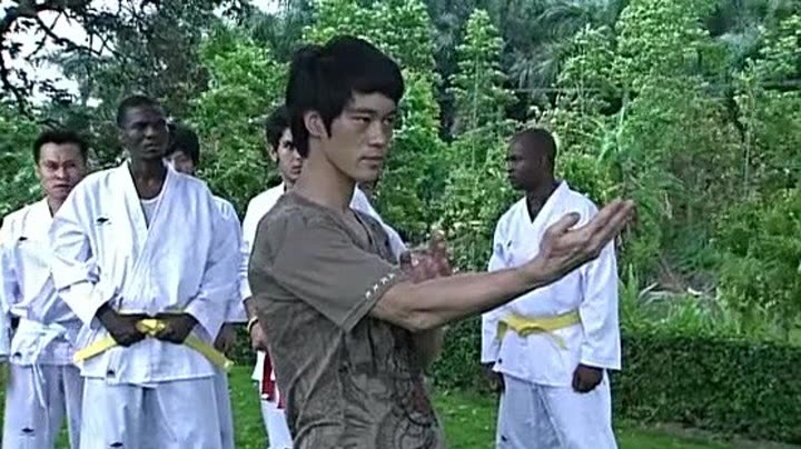                李小龙传奇第14集