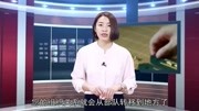 退役军人这五件事你及时办理了吗?没办理可领不到安置费!资讯搜索最新资讯爱奇艺