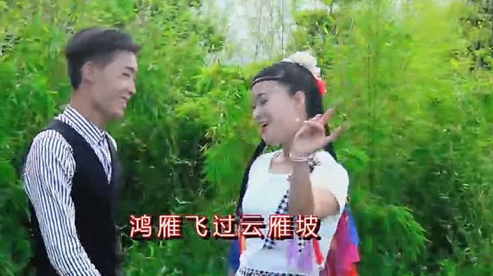 《云南山歌小妹》视频圈子-《云南山歌小妹》演员及