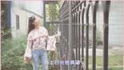 一首经典《鼓浪屿之波》一首情深意切的思乡曲音乐完整版视频在线观看爱奇艺