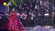 2019辽宁省声之韵新年音乐会 张曼《我的祖国》音乐背景音乐视频音乐爱奇艺