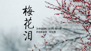 古风歌曲《梅花泪》萨克斯演奏 轻柔悠扬 饱含深情