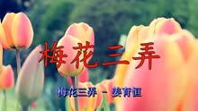 梅花三弄姜育恒简谱_我急需这曲笛子 梅花三弄 的简谱,万谢(2)