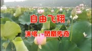 凤凰传奇一首《自由飞翔》歌声悠扬动听,令人陶醉!音乐高清MV在线观看–爱奇艺