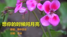 想你时候问月亮歌曲曲谱_想你的时候问月亮曲谱(2)