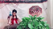 新贵妃醉酒古筝弹奏轻音乐音乐背景音乐视频音乐爱奇艺