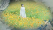 歌曲春花秋月曲谱_春花秋月(4)